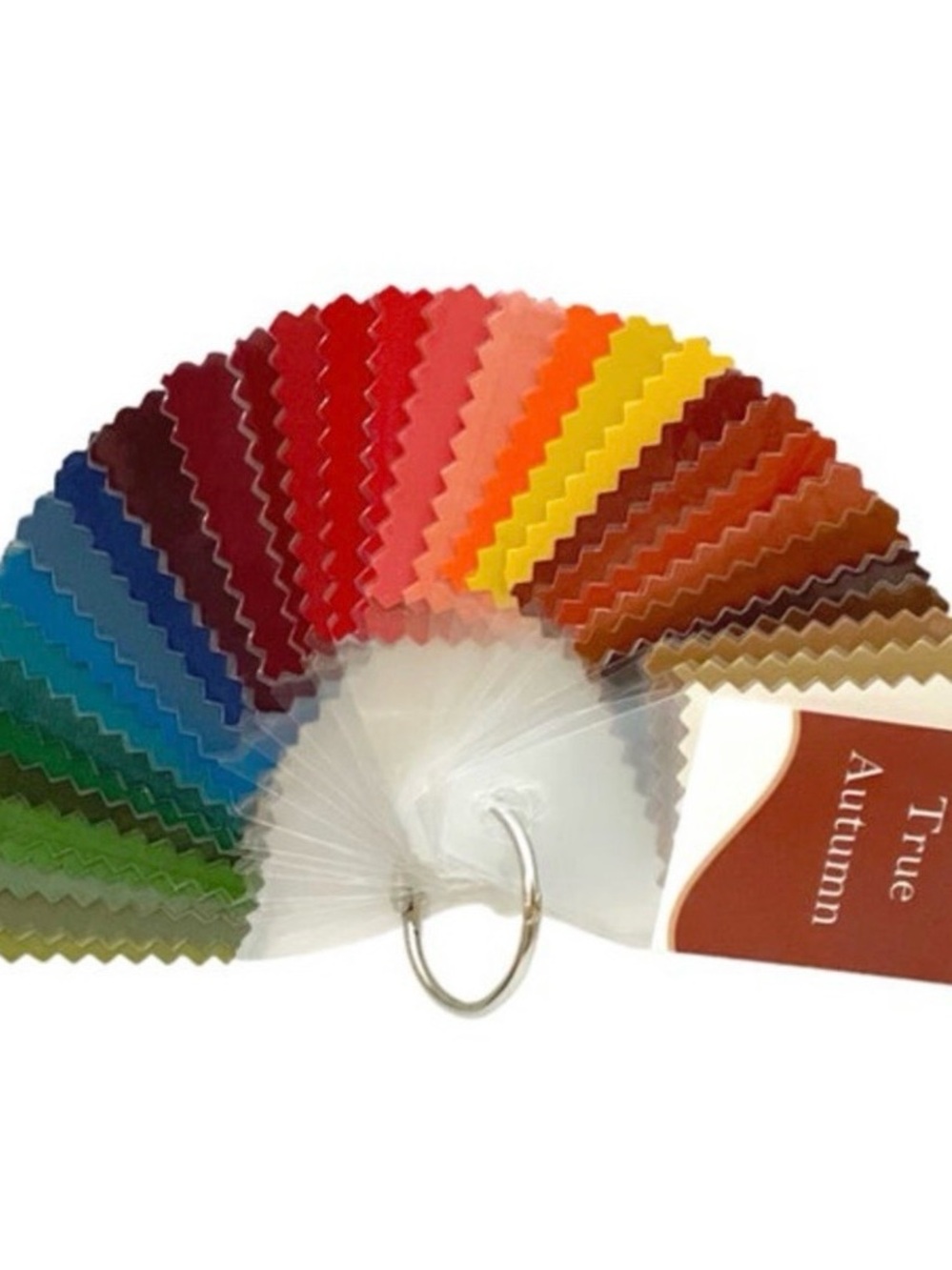 True Autumn 42 card Seasonal Color Palette - Style Solutions for You
